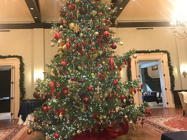 The stunning tree found each year at Oklahoma City Golf and Country Club is always my favorite