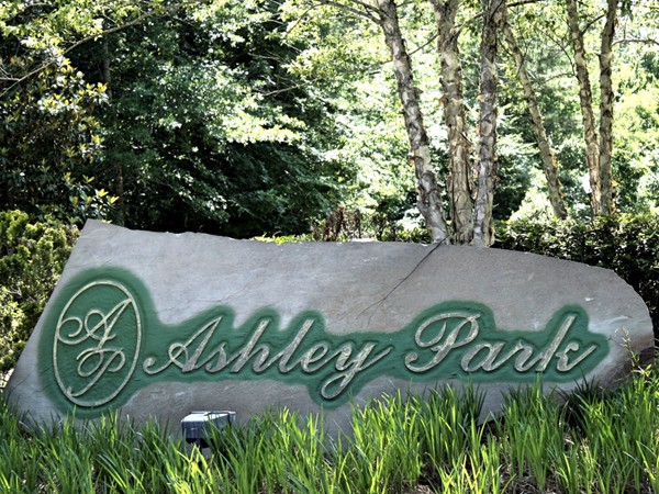 Entrance to the Ashley Park section of North Brandon Estates