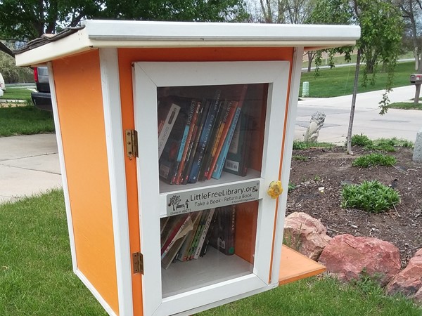 Little Library on the corner of Beechwood Ave and Greenwood Ave