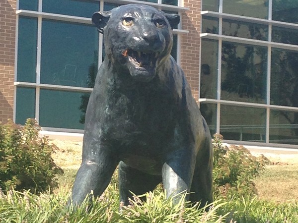 The Panther is Parkhill South High School's Mascot.