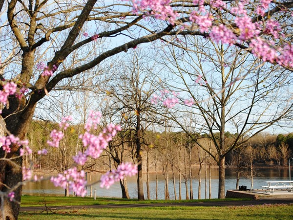 Spring time at Old Hwy 86 campground with campsites are right on Table Rock Lake!
