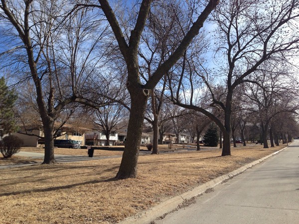 Boulevard in Mockingbird Hills. Ralston Schools and a great park in the neighborhood