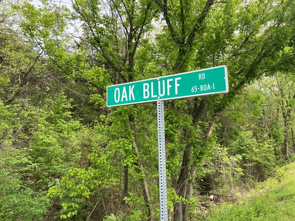 Oak Bluff subdivision