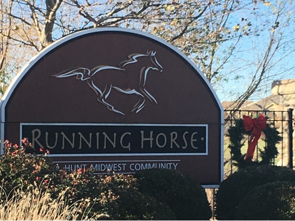 Running Horse is a great family subdivision