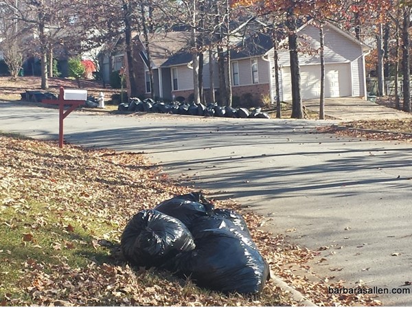I see a lot of leaf bags and a whole lot of leaves to still be raked! It is that time of year