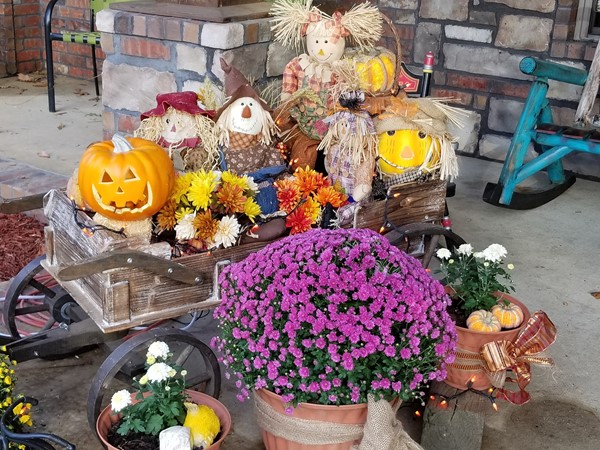Fall is in the air!  Getting the mums and pumpkins set out on this beautiful day 