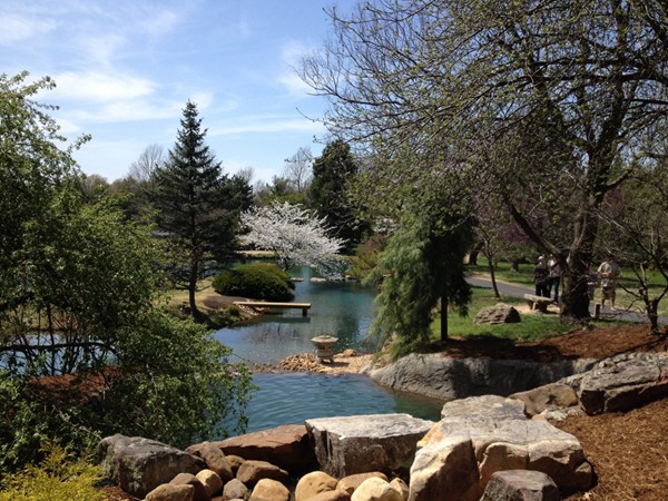 Japanese Stroll Garden - A peaceful water garden within Nathanael Greene Park