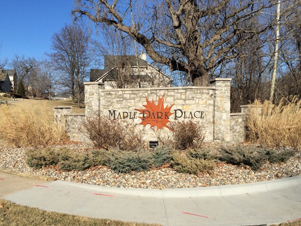 Beautiful homes in Maple Park Place. Homes for sale around the area.  Oak Park School District 
