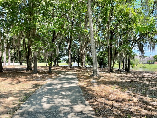 Walking trails through mature shade trees