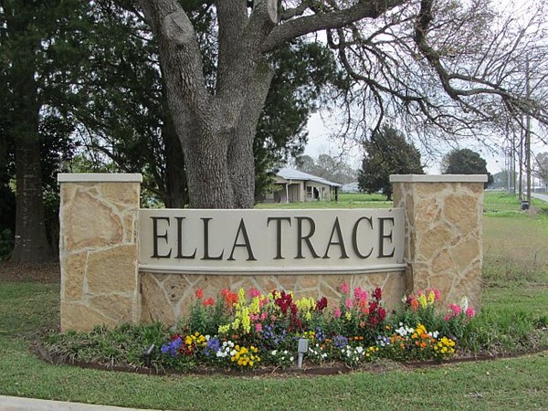 Lush entry into Ella Trace Subdivision, Youngsville