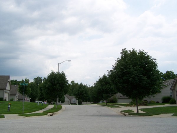 Tree-lined street view of N. Liston cul-de-sac