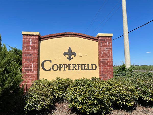 Copperfield Subdivision in the heart of Youngsville