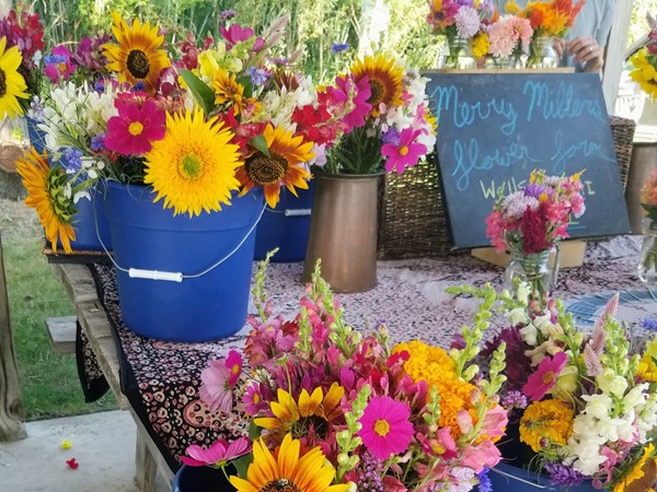 Great seasonal flowers and produce at Elberta Farmer's Market