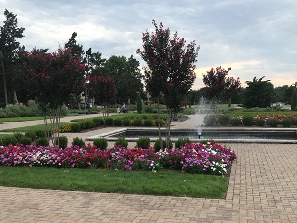 Woodward’s rose garden in full bloom