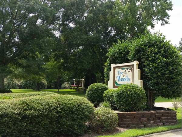The Woods neighborhood is close to Shenandoah and the homes sit on very large lots