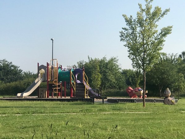 Summit Lakes Subdivision private playground