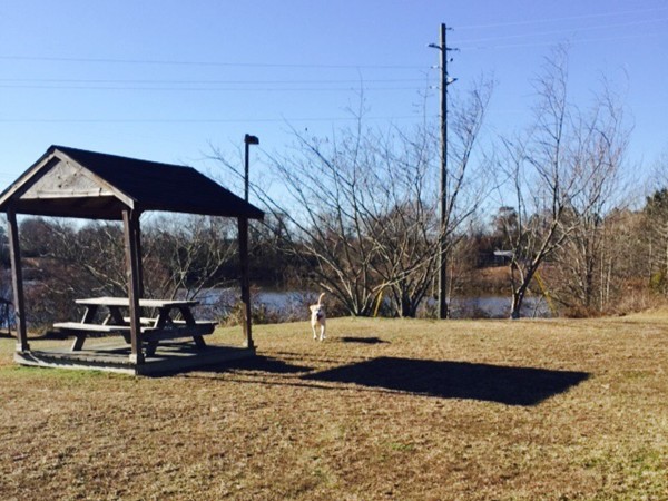 Take your dog for a walk or have a picnic by the lake at Harper Creek
