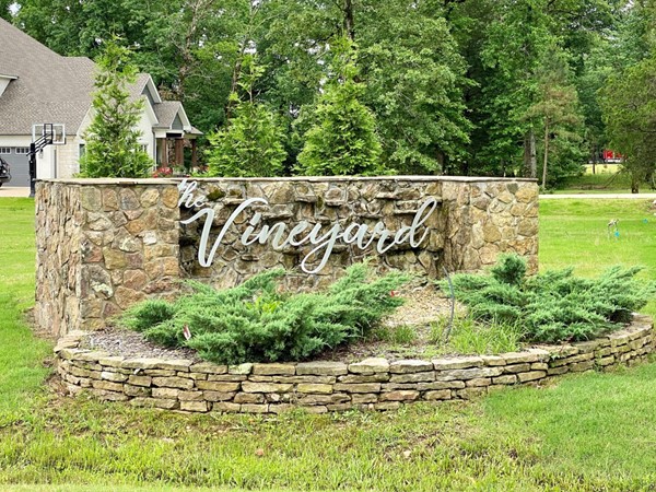 The Vineyard Subdivision in Alexander, AR located in Saline County