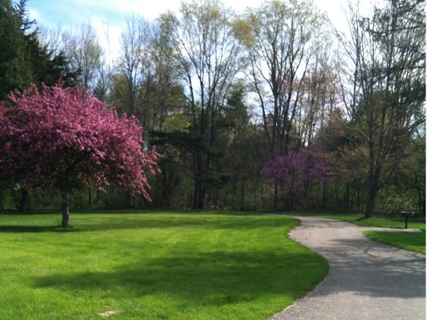 Spring at the Cass River Roadside Park