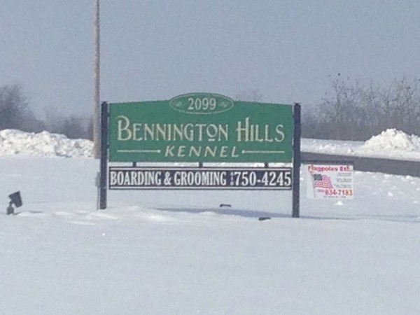 Bennington Hills Kennel is the place to care for your dog in Fenton. World famous Goldens!