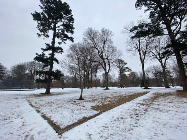 Snowy day at Phelps Grove Park