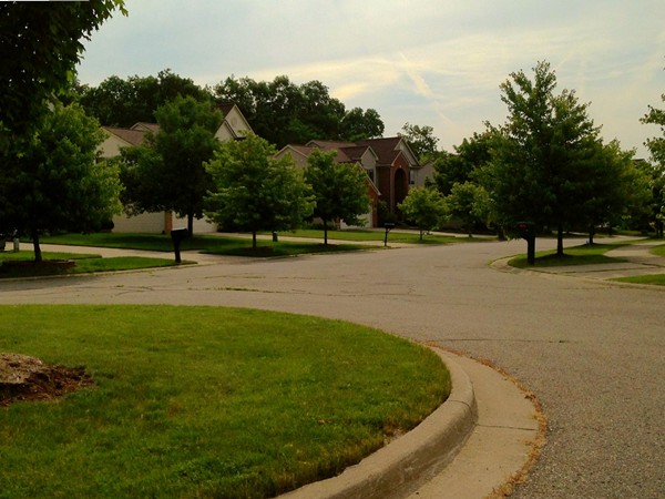 A wooded cul-de-sac on the edge of the subdivision 