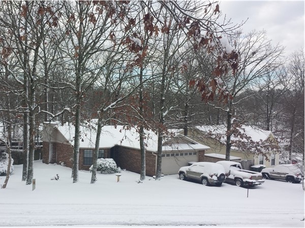 My view out of my front door after 6+" of snow. Point West, Little Rock, Arkansas