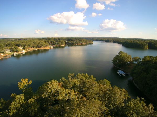Beautiful Lake Wedowee on a sunny day!  This makes your day a little brighter