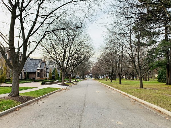 Tree lined boulevard in highly sought after, Hough Park in Downtown Plymouth