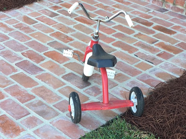 Nothing sweeter than a tyke on a trike!  This is a fabulous neighborhood for families