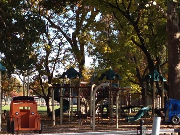 Macken Park Playground