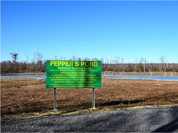Pepper's Pond is a public use area designed specifically to train hunting dogs 