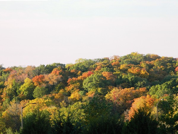 Maple Woods Preserve is aglow with fall colors. One of the best sights in Kansas City