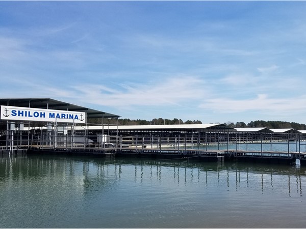 Shiloh Marina on beautiful Greers Ferry Lake at the Shiloh Rec Area in Greers Ferry