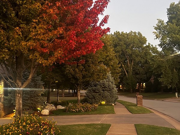 Fall is in the air in Oakdale Valley