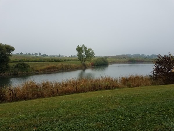 Foggy morning on Prairie Lake in Cedar Falls. Great place to walk with your dog