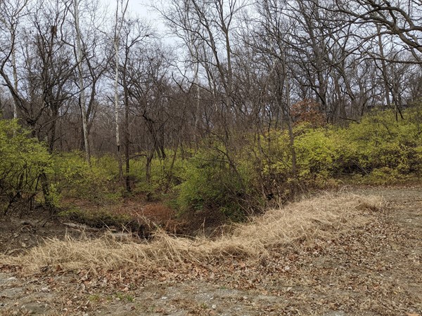 The Briarcliff greenway nature area