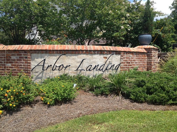 Entrance to the gem that is Arbor Landing waterfront community! 