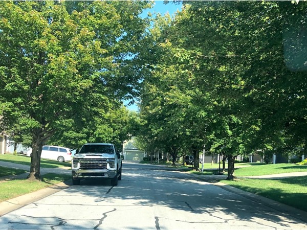 The tree-studded neighborhood of The Reserve at Heritage