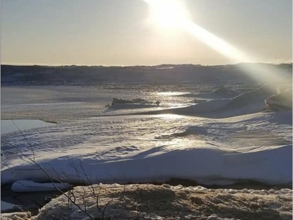 Watching the ice on Lake Michigan is a must see!  Meinert Park is an 182 acre park