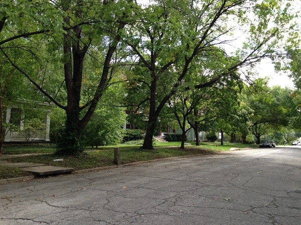 Green trees shading the streets in early fall season in Old West Lawrence