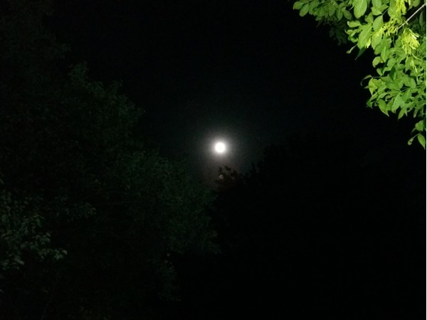 Full moon from my backyard this evening
