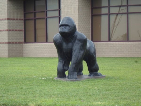 Haysville West Middle School mascot