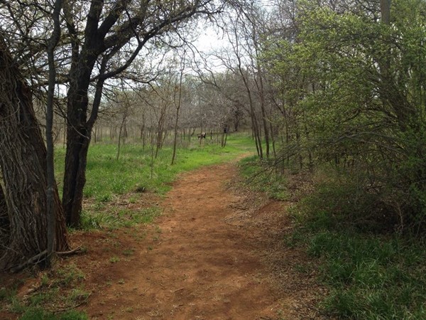 Washita Battlefield Nationall Historic Site offers a scenic walking trail