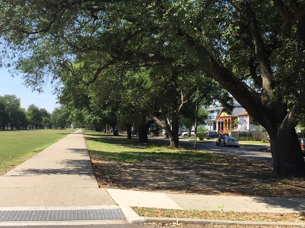 Lined with oak trees and a main artery, S. Jefferson Davis Parkway also has a bike path 