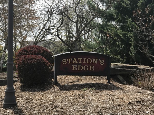 Welcome to Station's Edge
