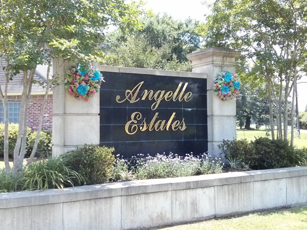 Angelle Estates is a great neighborhood off Hwy 621 and J D Broussard Road