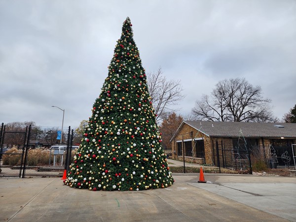 Christmas Tree at the Topeka Zoo