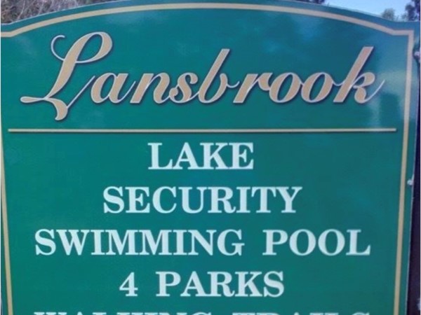 Lansbrook Subdivision amenities 
