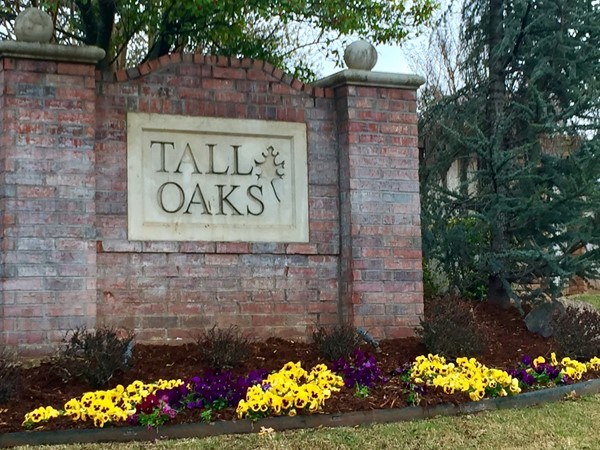 Welcome to Tall Oaks 